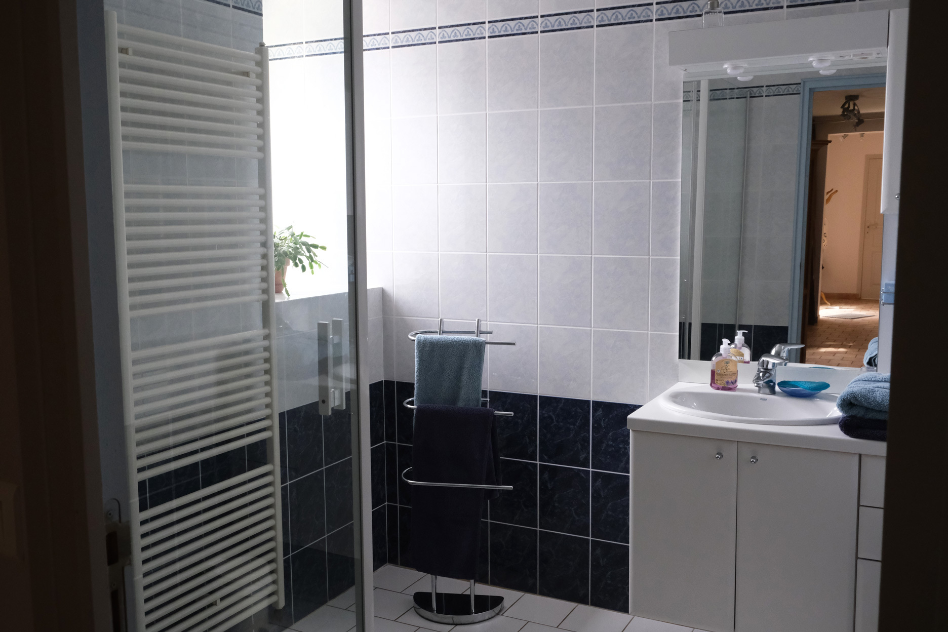 La salle de bain
