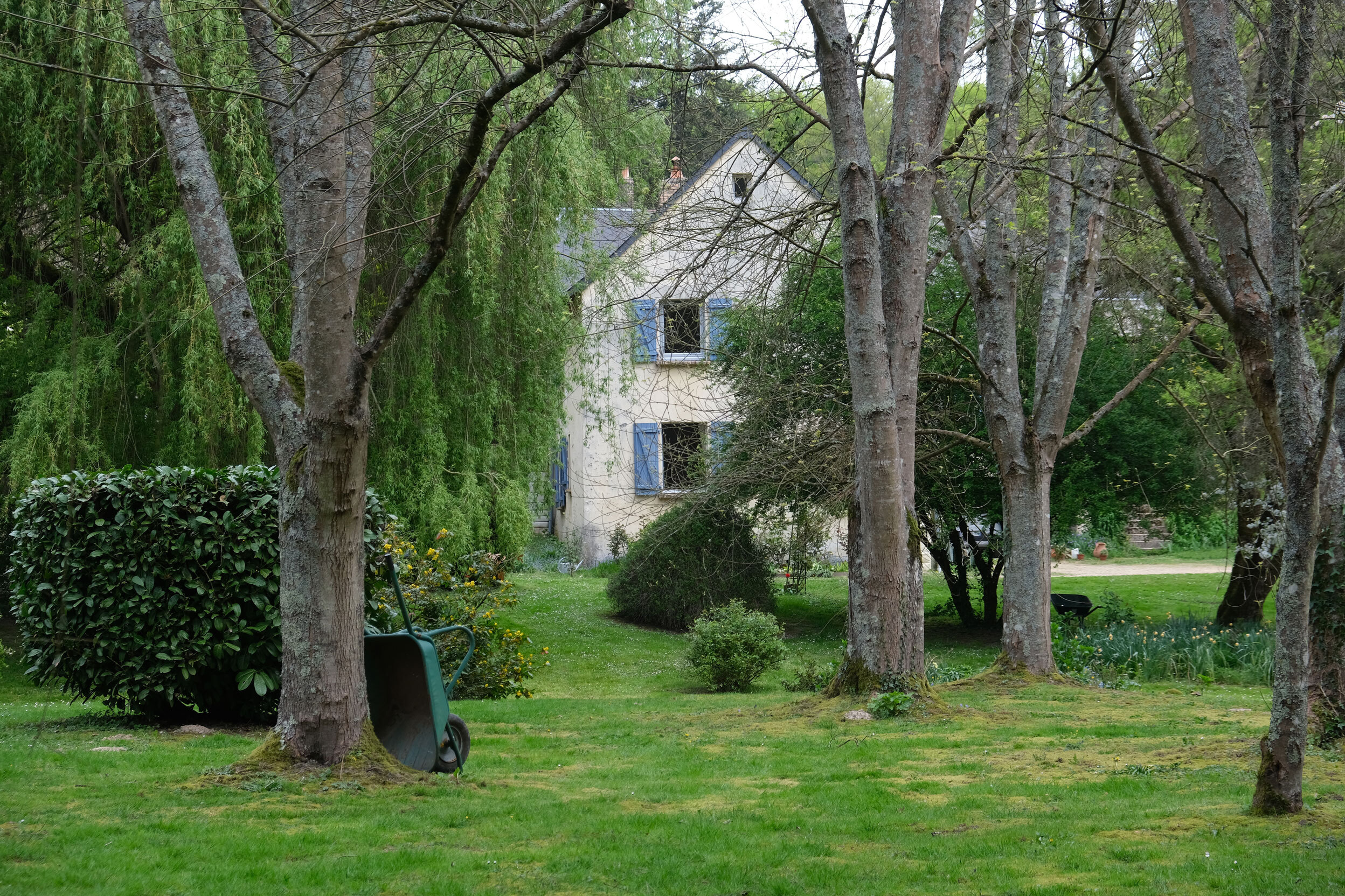 Le jardin